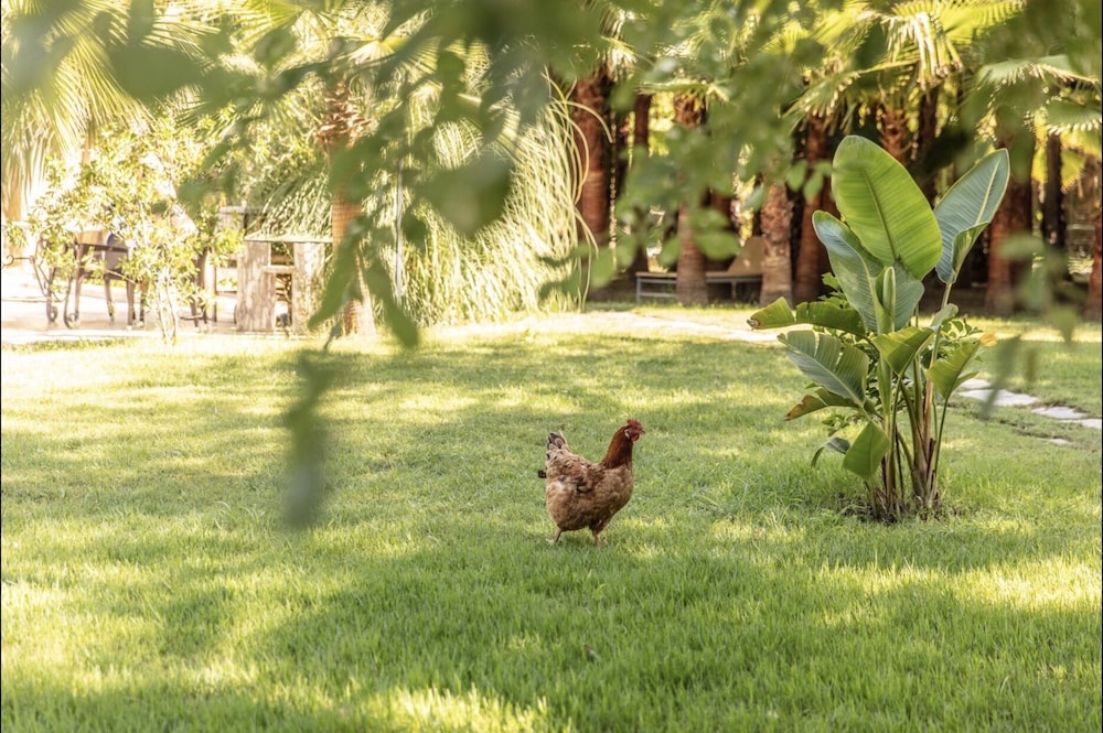 Layla Gocek - Yetişkinlere Özel - Image 86
