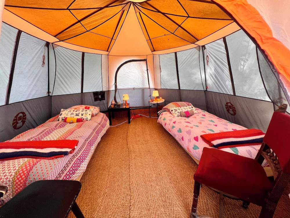 Camping De Helleborus