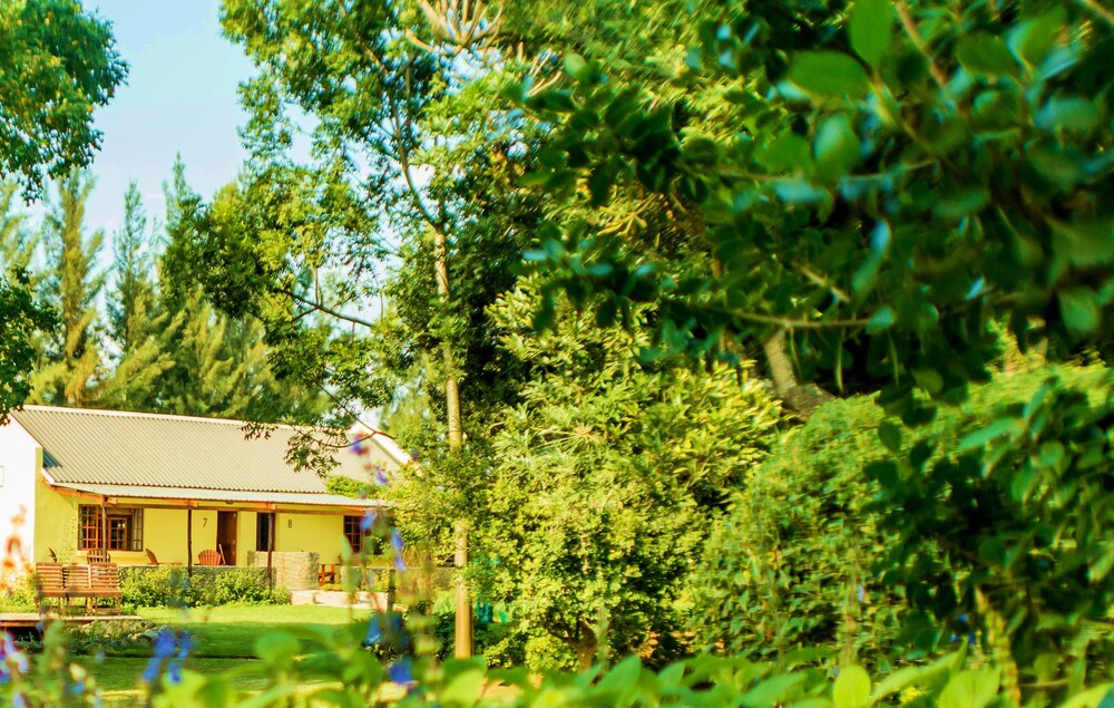 Rosedale Organic Farm B&B