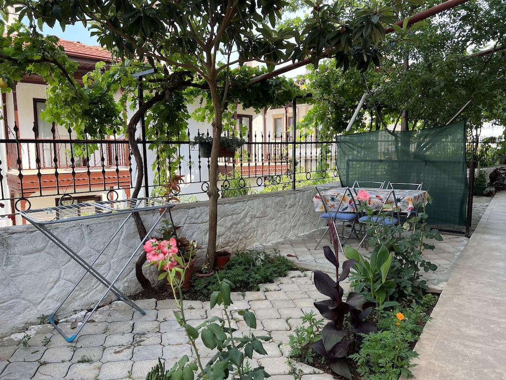 Photo 19