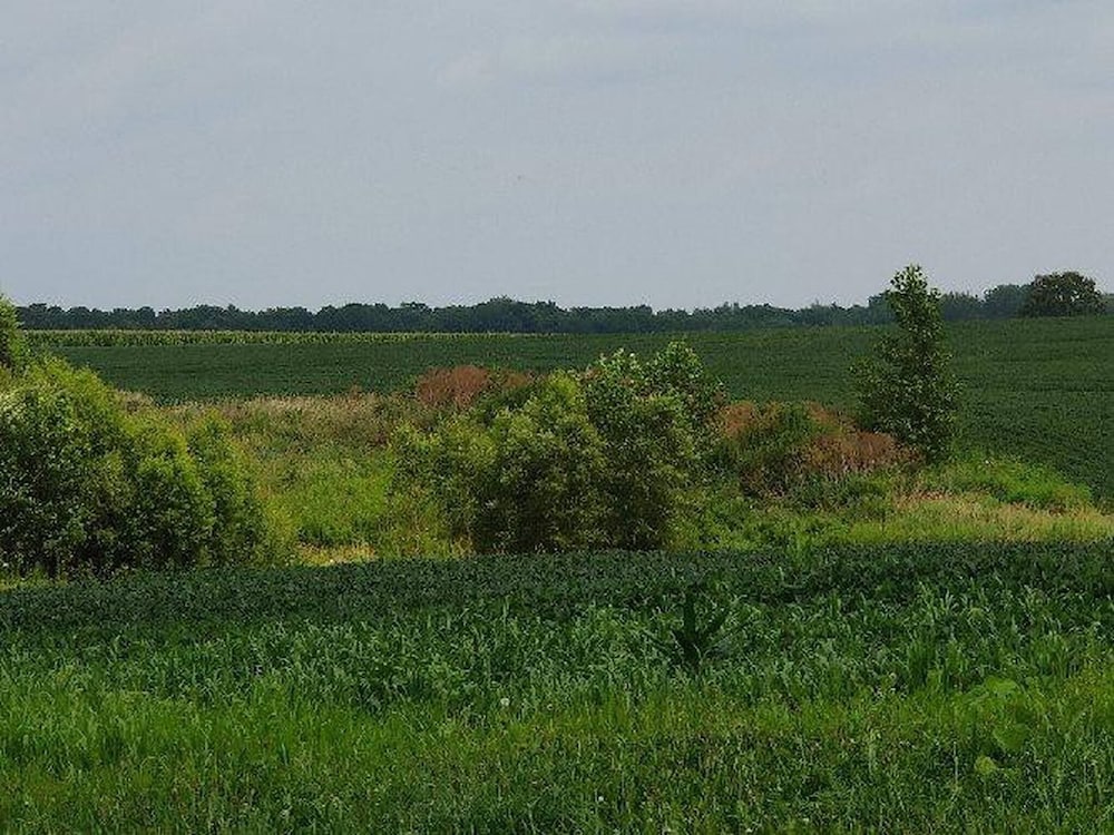 Escape To The Countryside At Black Oak Farm