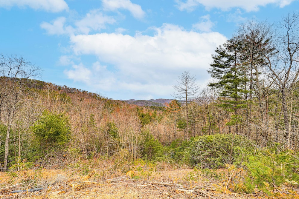 Pet-friendly Cabin w/ Hot Tub in North Carolina!
