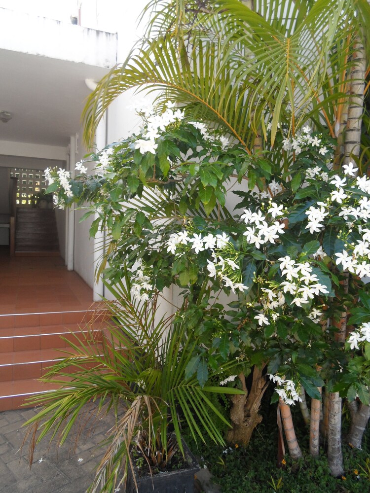 Upanga B&B - UN Road