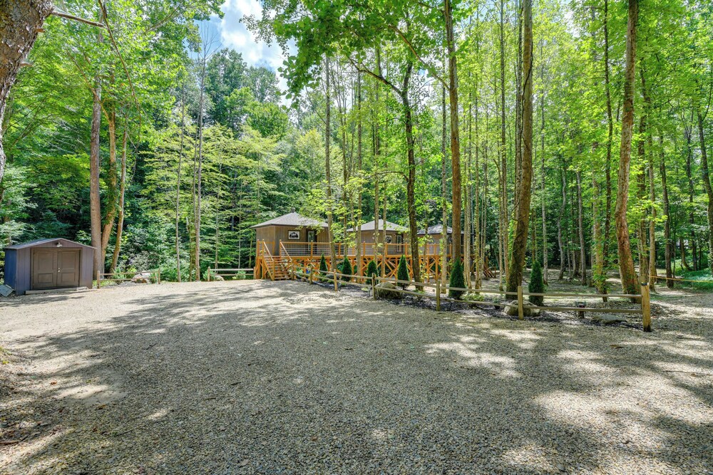 Fire Pit: Tree-lined Gem in Cosby