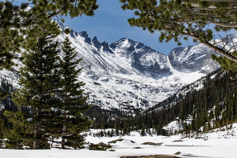O'deer Cabin - Pet Friendly - Estes Park -- Ev#3241 2 Bedroom Cabin by RedAwning