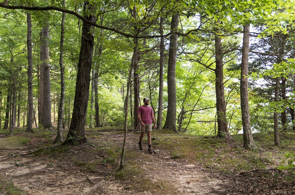 Dale Hollow Lake State Resort Park