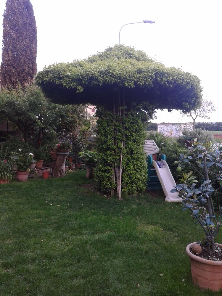 Photo 8