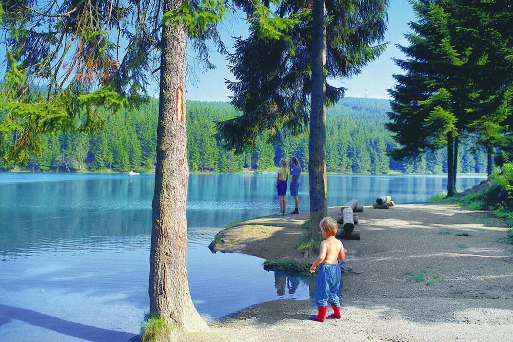 Ferienwohnung, Hahnenklee