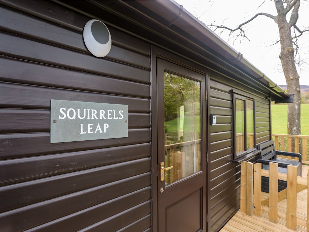 Squirrels Leap