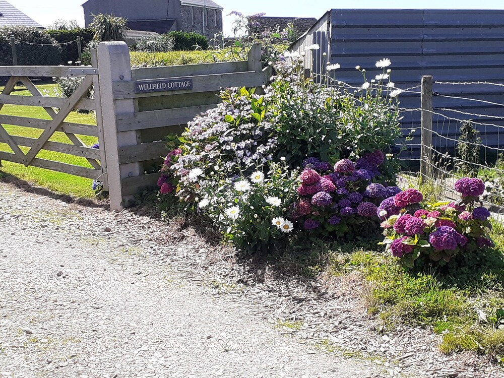 Wellfield Cottage