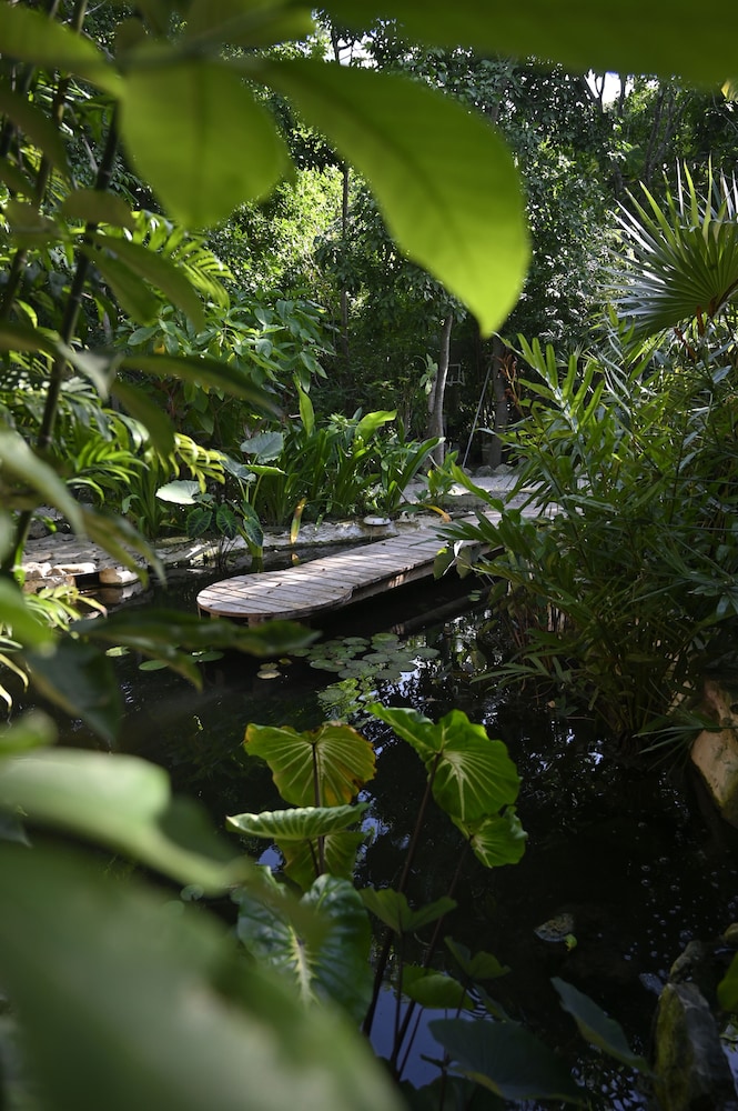 Huaya Camp - Property Image 116
