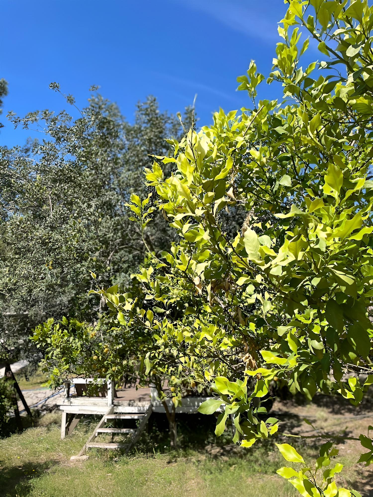 Photo 18