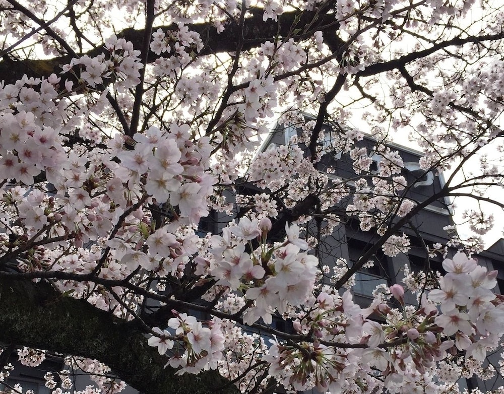 Meiseki No Yado Kagetsu
