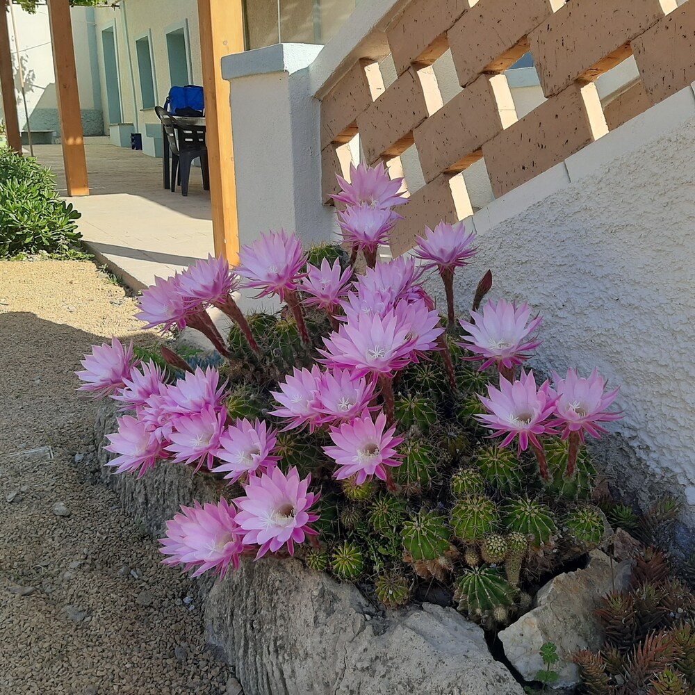 Photo 42