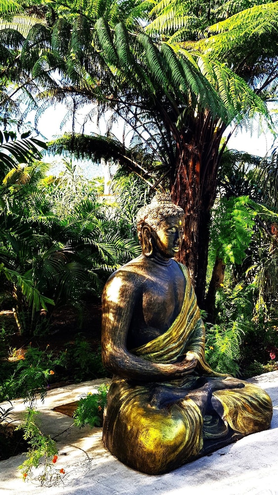 Sacred Garden Fiji - view 15