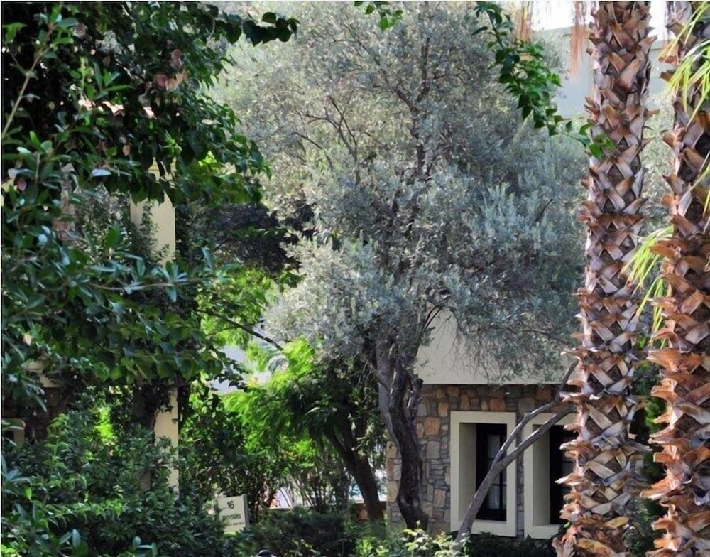 Zeytinada Otel - Image 11
