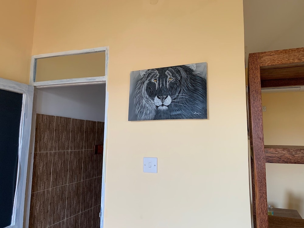 Photo 46