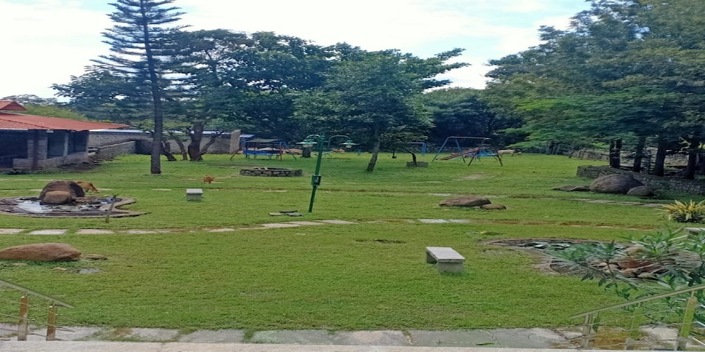 Photo 13