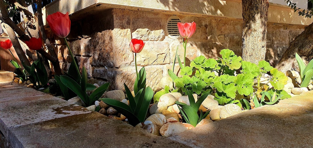 Charming 3-bed House in Tyros view 3