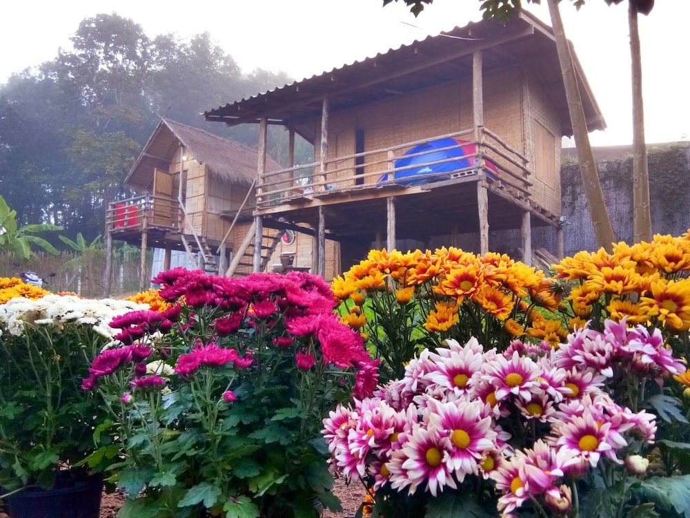 Baan AingDoi Homestay