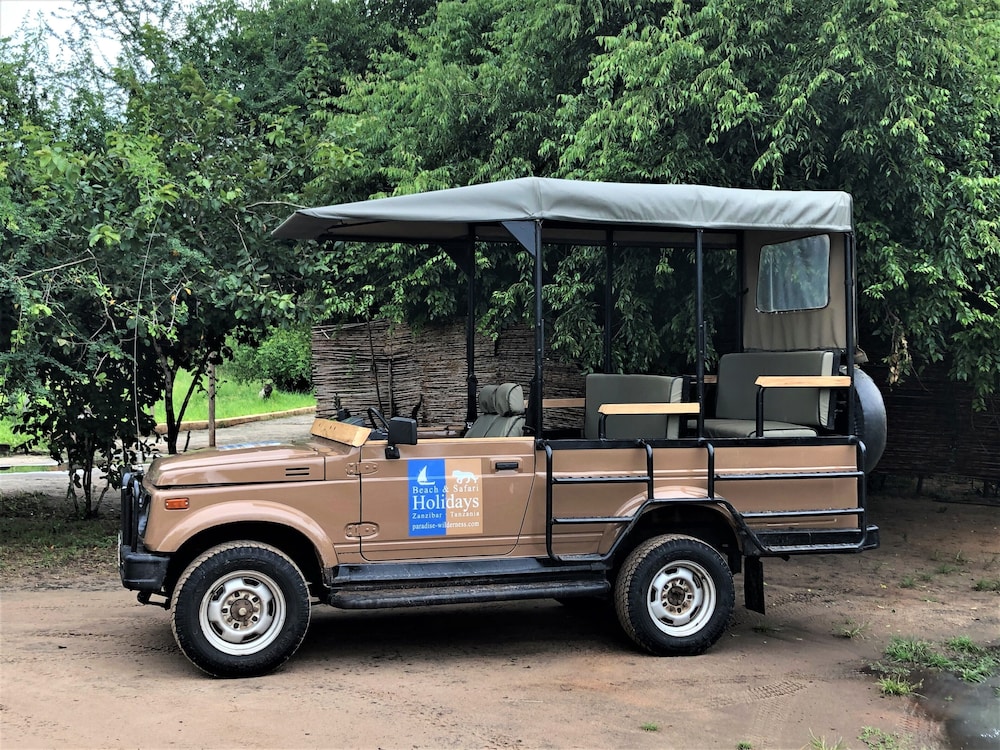 Africa Safari Selous