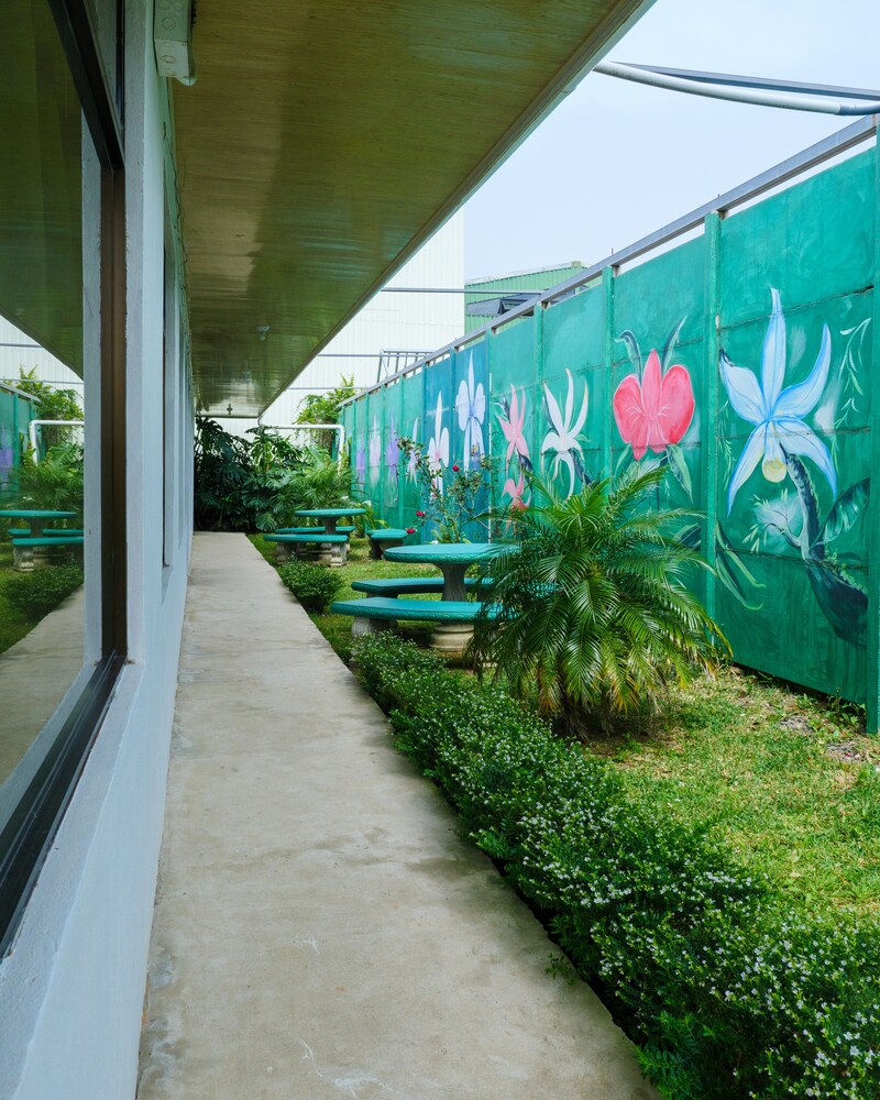 Hostel Cattleya