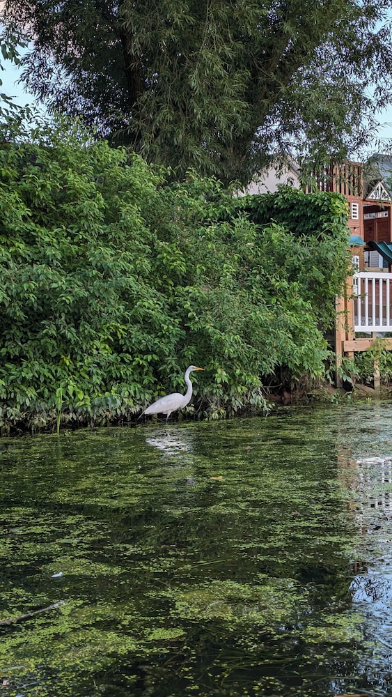 Niagara Creekside B&B