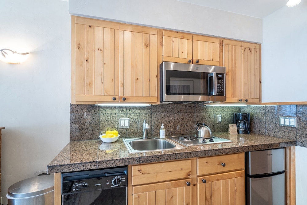 Viking Lodge Condos - Telluride Ski Resort