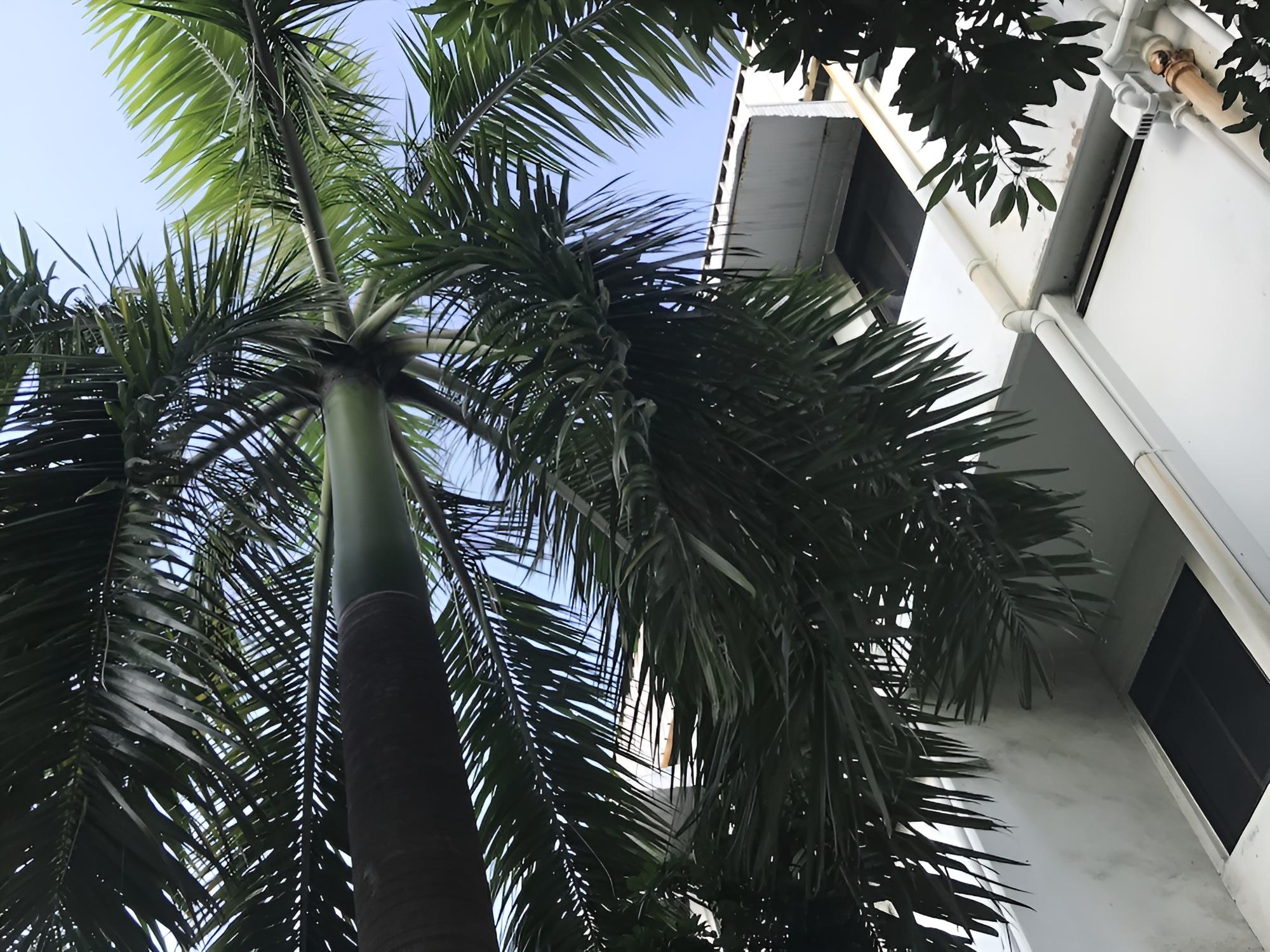 Lai Ming Hotel