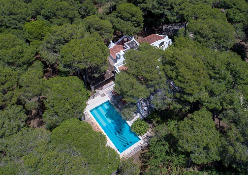 Villa Denise, photo 33