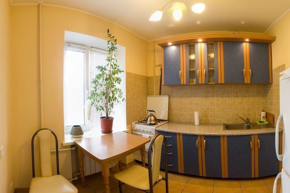 Apart Kiev Derevlianskaya 21A view 4