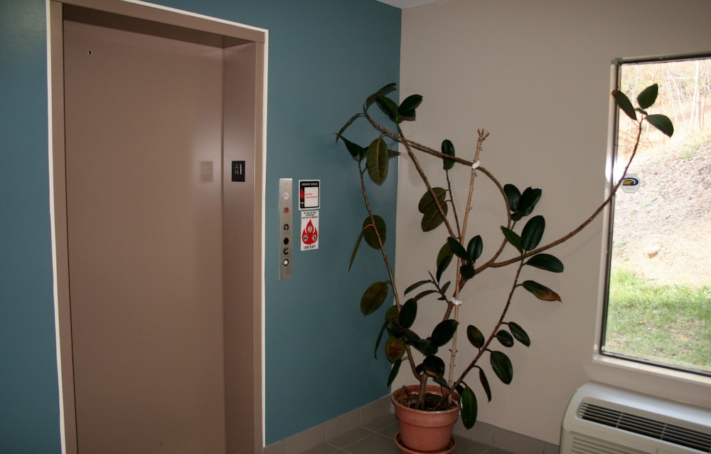 Photo 36