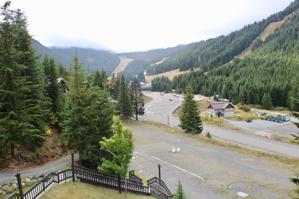 Crystal Chalets Condominiums at Crystal Mountain Ski Resort