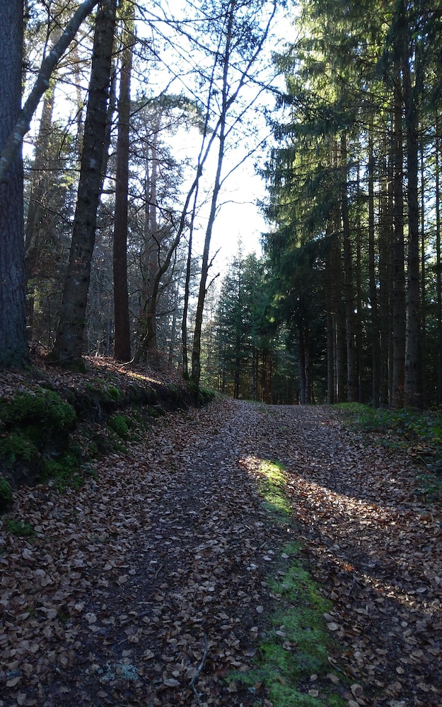 Photo 22