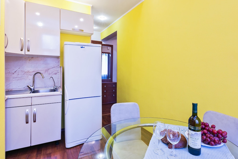 Apartment Nice Mayakovskaya