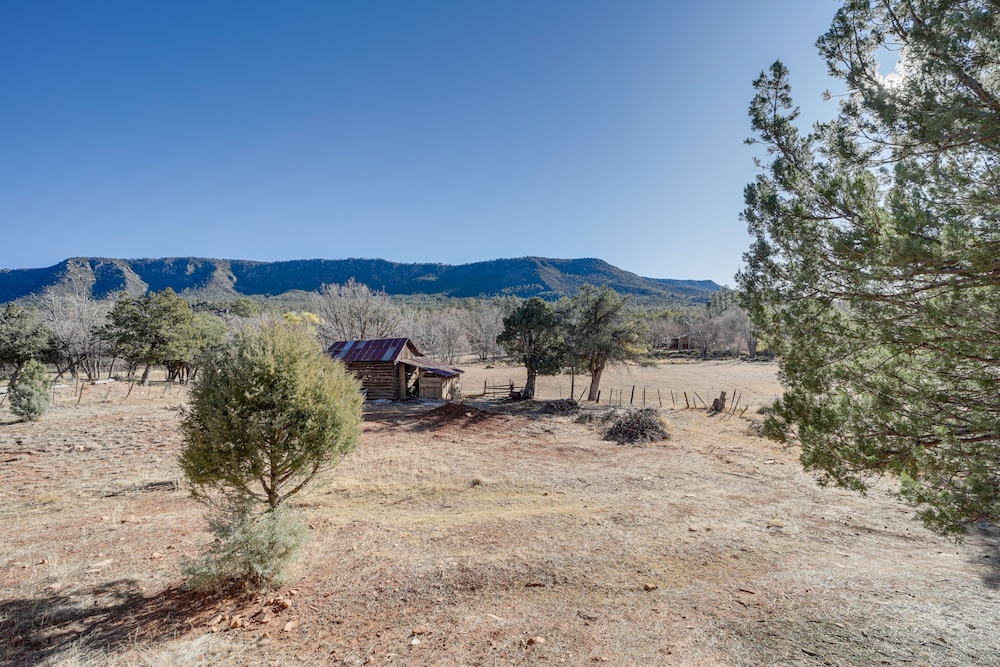 Airy Pine Cabin w/ Wraparound Deck Near Trails! - Property Image 19