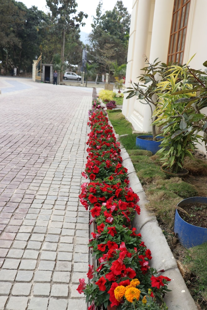 Photo 43