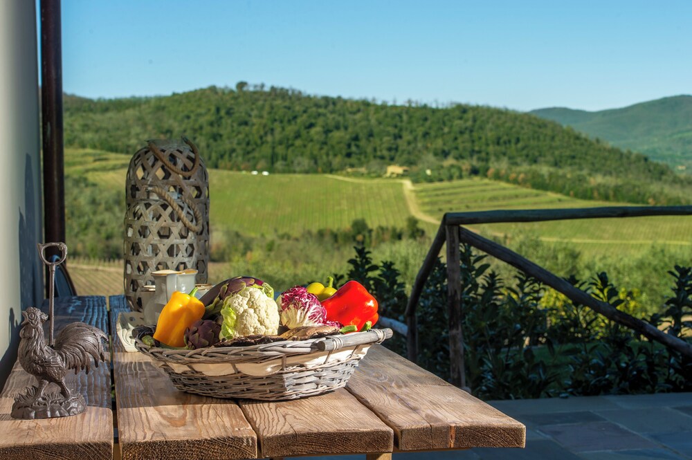 Villa Chianti With Infinity Pool And Vineyard View