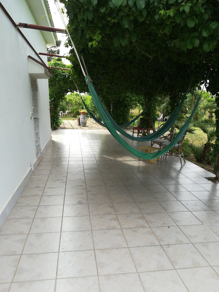 Photo 50