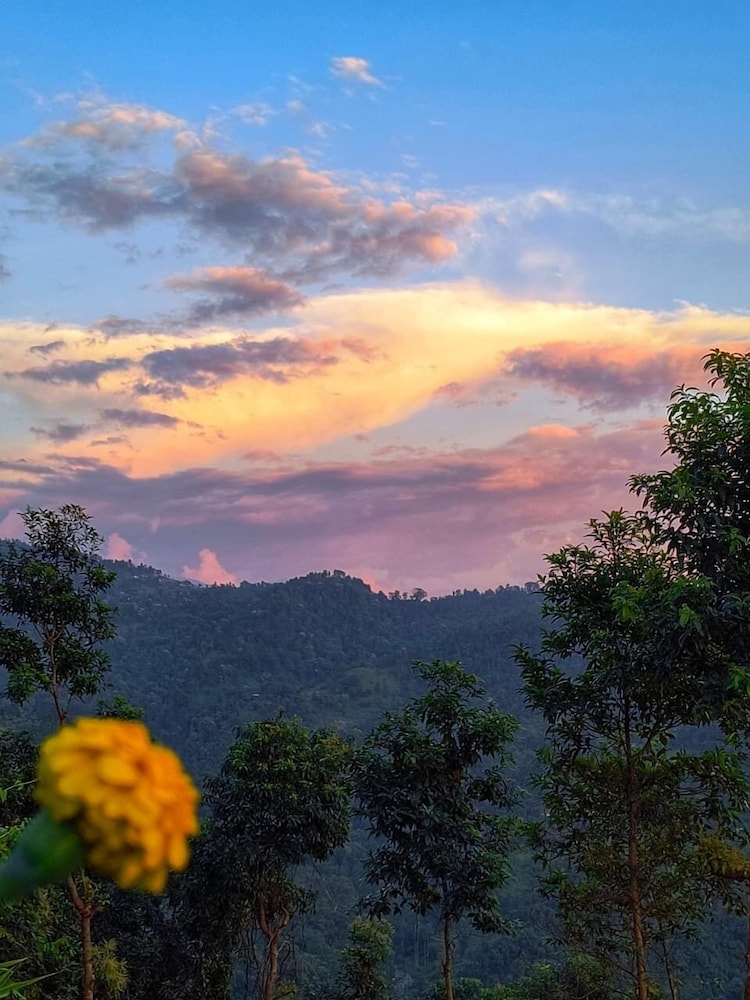 Infinity Viewpoint Homestay