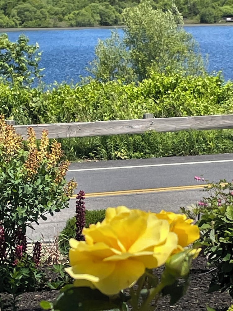 Iris Hotel Cape Cod, Bild 73