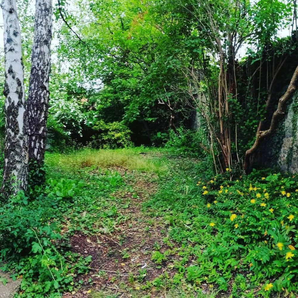 Photo 47