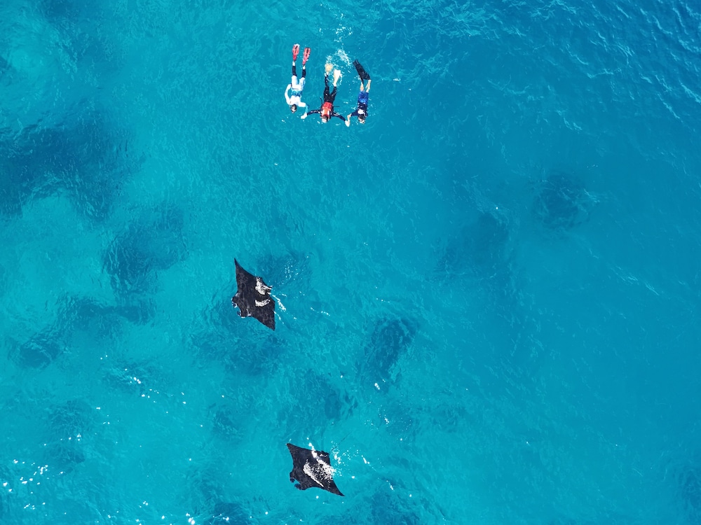 ANDAU DIVE RESORT - RAJA AMPAT