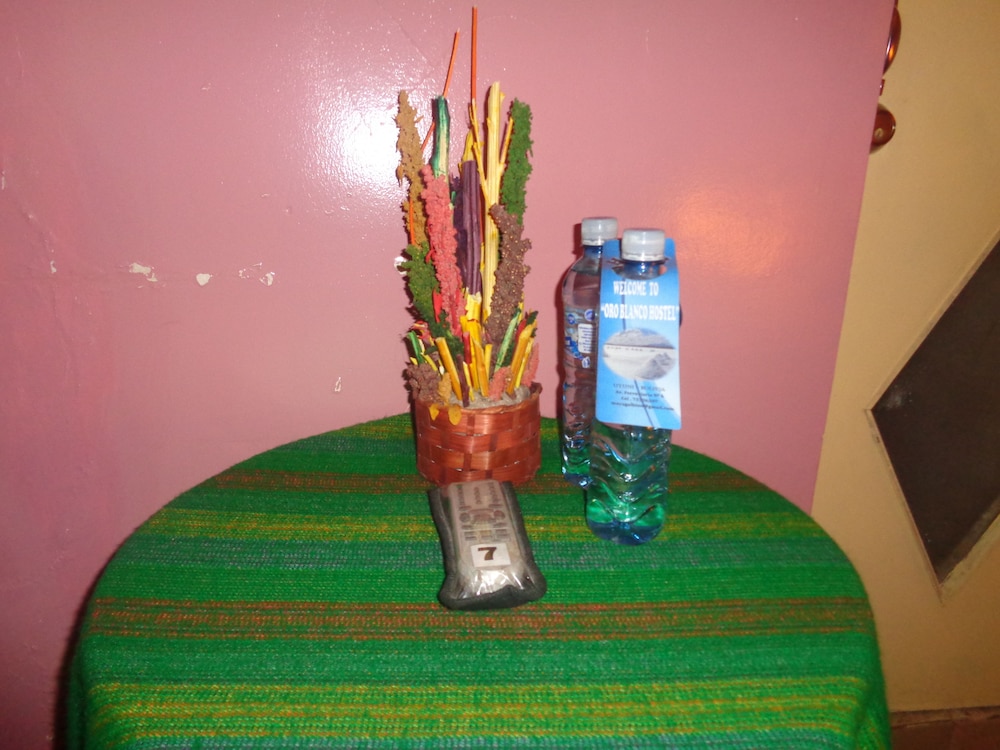 Hostal Oro Blanco