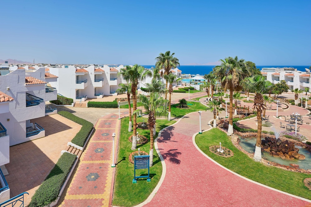 Dreams Beach Sharm el Sheikh — photo 47