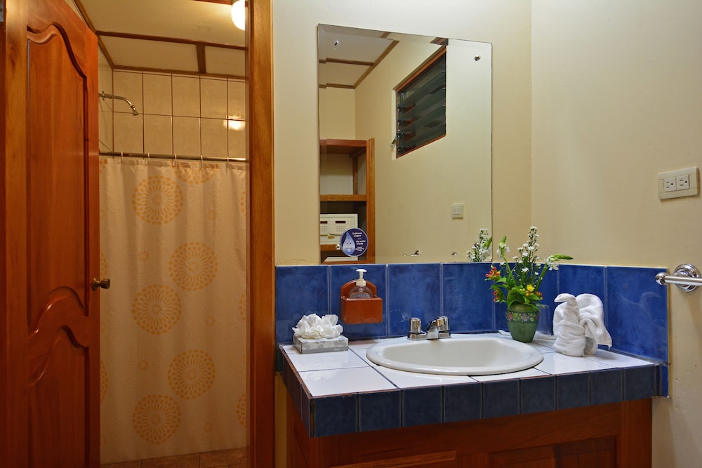Arenal Observatory Lodge & Trails 75