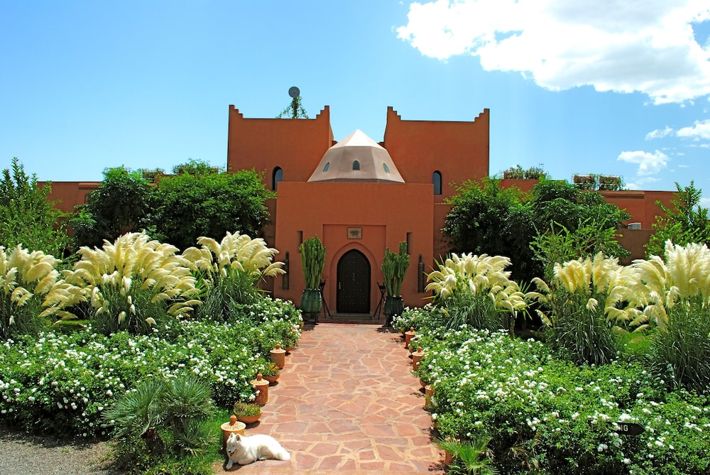 Photo 46