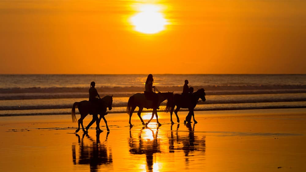 Oualie Beach Resort - Photo 22