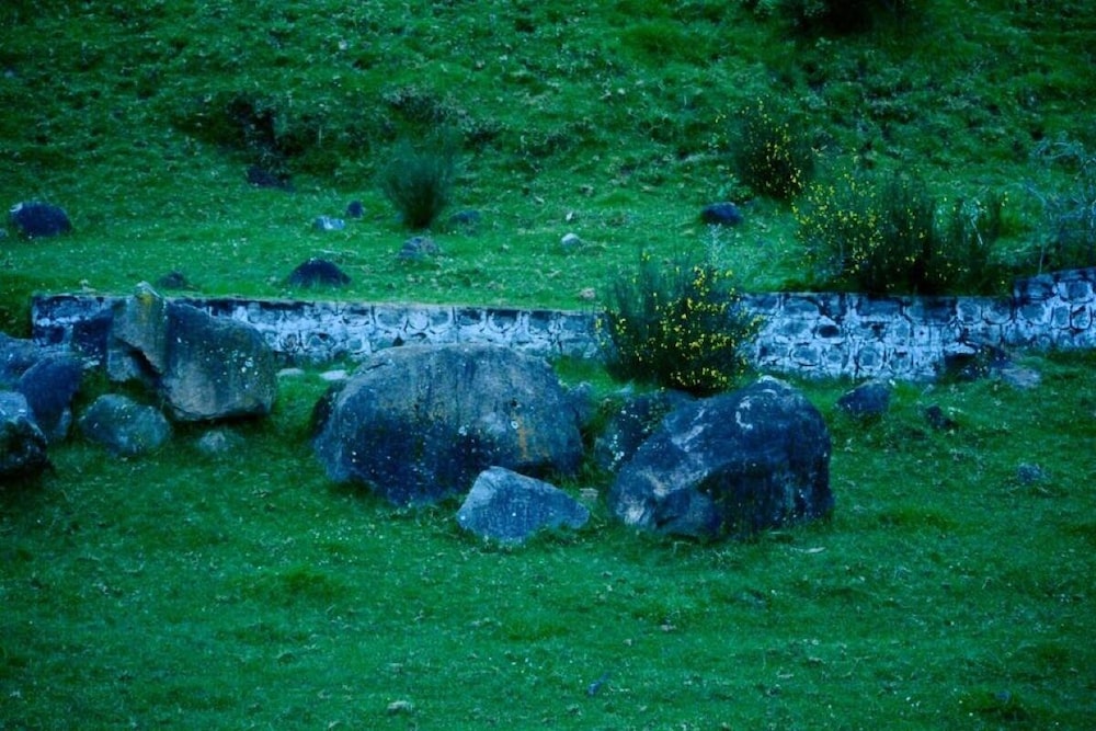Photo 12