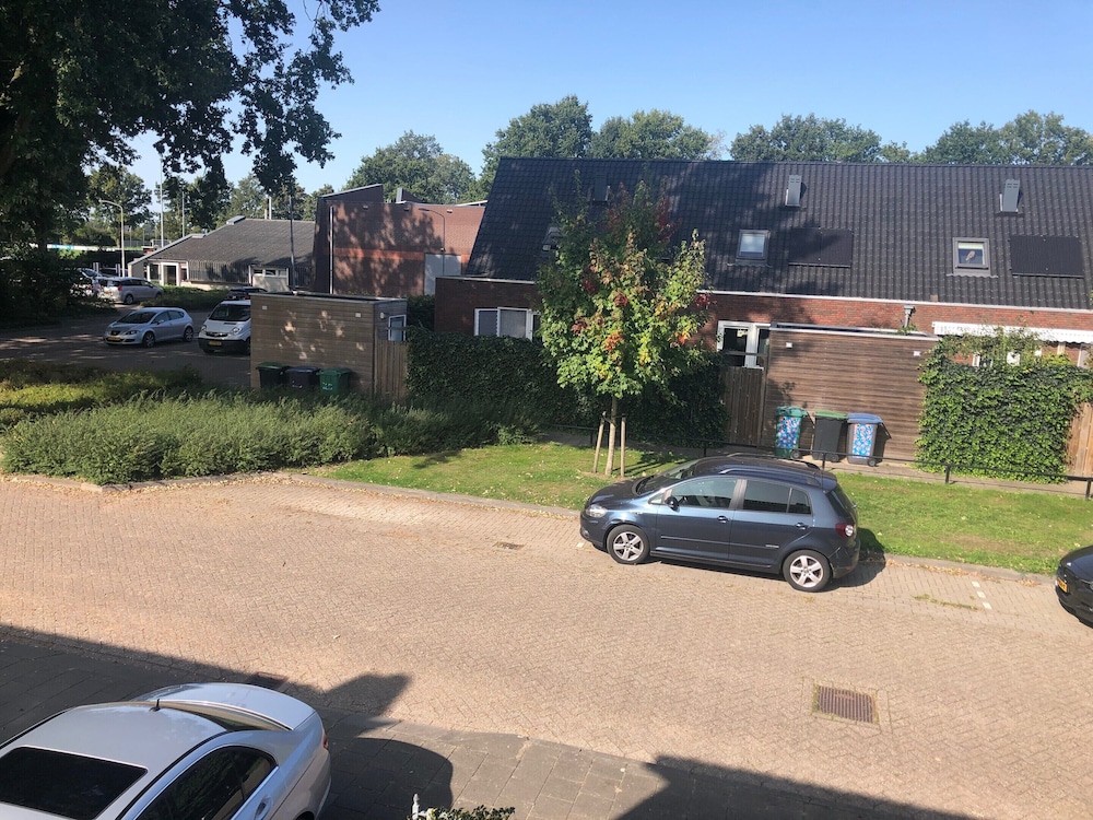 Photo 19